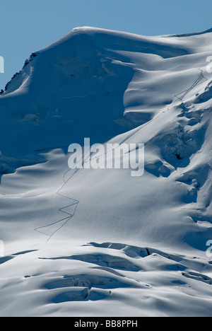 Alpinistes cordage-équipe descendant des pentes glaciées du Piz Palue, 3900 m au-dessus du niveau de la mer, groupe Bernina, Grison Alp Banque D'Images