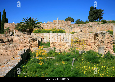 Ruines de villas romaines à Carthage, Tunisie Banque D'Images