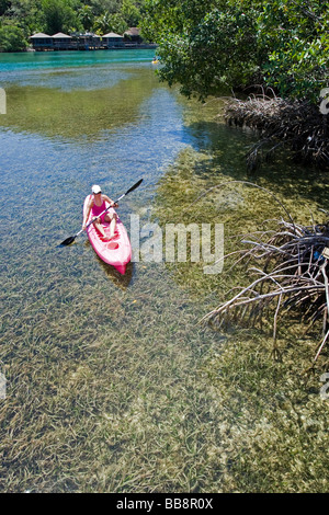 Enfant canoë à travers bois de mangrove, le Honduras, les Caraïbes Banque D'Images