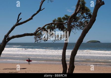 Emerald Beach Surfer Région de Coffs Harbour NSW Australie Banque D'Images