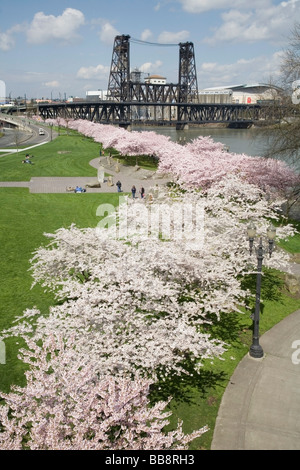 Fleurs de printemps le long du secteur riverain de Portland de Portland, Oregon, USA , Banque D'Images