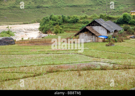 Cabane dans la ferme de la vallée de Lao Chai, SAPA, Vietnam entouré de rizières en terrasses Banque D'Images