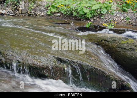Flux de précipitation parmi les roches, Balkan Central Parc National, Bulgarie Banque D'Images