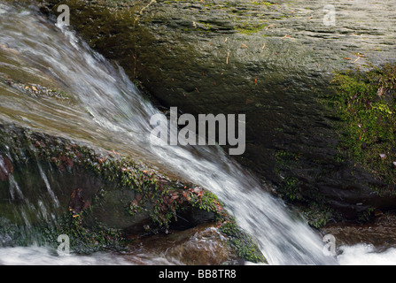 Flux de précipitation parmi les roches, Balkan Central Parc National, Bulgarie Banque D'Images