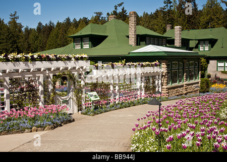 Les tulipes en fleurs de printemps ensoleillée journée dans les jardins Butchart Victoria BC Canada Banque D'Images