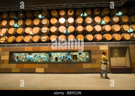 Affichage interactif dans le National Wine Centre of Australia. Adélaïde, Australie du Sud, Australie Banque D'Images