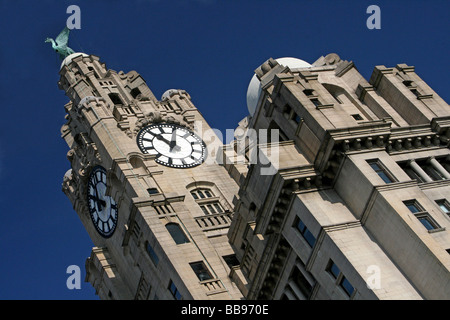 Vue horizontale de tour de l'horloge et le foie des oiseaux, le Royal Liver Building, Liverpool, Merseyside, Royaume-Uni Banque D'Images