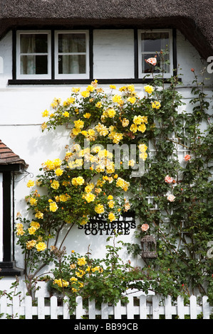 Rose cottage de chaume dans le Hampshire, Angleterre Banque D'Images