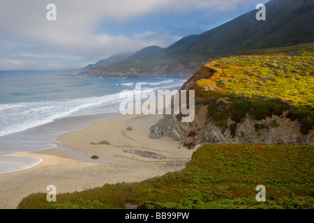 Garrapata State Park CA Clearing matin brouillard sur des pointes rocheuses et Garrapata Beach Banque D'Images