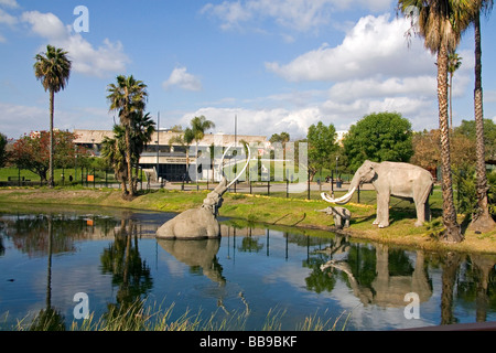 Modèles de mammouths au puits de goudron de La Brea dans Hancock Park Los Angeles California USA Banque D'Images