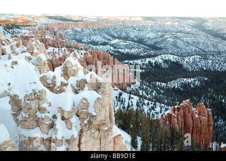 Le Parc National de Bryce Canyon en hiver la neige, Garfield Comté et comté de Kane, Utah, United States Banque D'Images