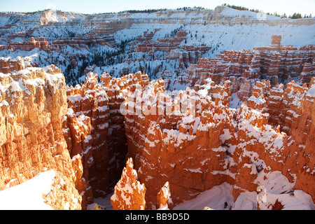 Le Parc National de Bryce Canyon en hiver la neige, Garfield Comté et comté de Kane, Utah, United States Banque D'Images