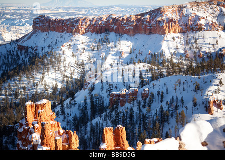 Le Parc National de Bryce Canyon en hiver la neige, Garfield Comté et comté de Kane, Utah, United States Banque D'Images