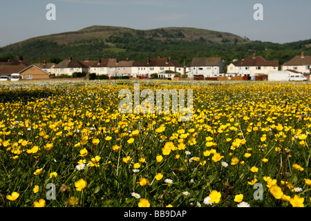 Le Garth Mountain près de Cardiff, avec le village de Taff va bien à sa base, au printemps, dans le sud du Pays de Galles, Royaume-Uni Banque D'Images