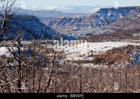 Zion National Park avec de la neige en hiver - Utah Plateau, Zion National Park, Utah, USA Banque D'Images