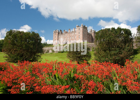 Château de Drumlanrig avec fleurs en premier plan montbrecia Banque D'Images