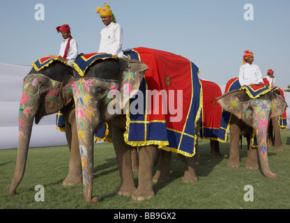 Les éléphants aux cavaliers à l'éléphant de l'Inde Rajasthan Jaipur Festival Banque D'Images