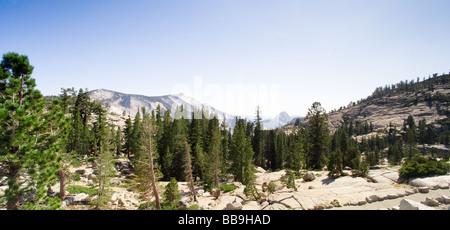 Paysage panoramique haute résolution vue depuis le point d'Olmsted, Yosemite National Park Banque D'Images