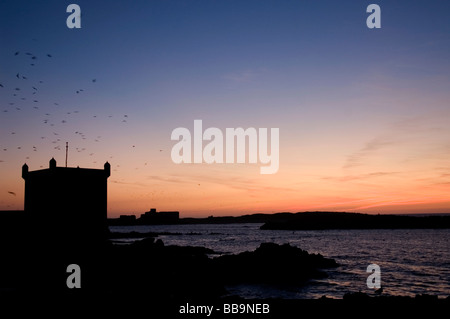 Maroc Essaouira La ville portuaire du 18ème siècle assis sur la côte de l'Océan atlantique 2008 Banque D'Images