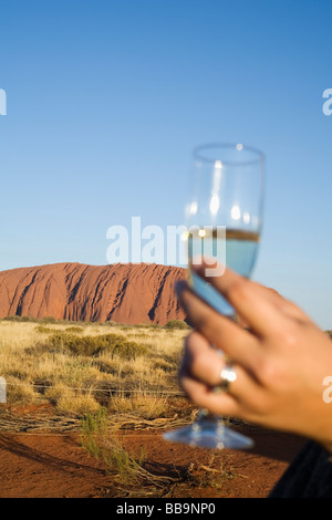 Boire au coucher du soleil sur Uluru (Ayers Rock). Le Parc National d'Uluru-Kata Tjuta, Territoire du Nord, Australie Banque D'Images