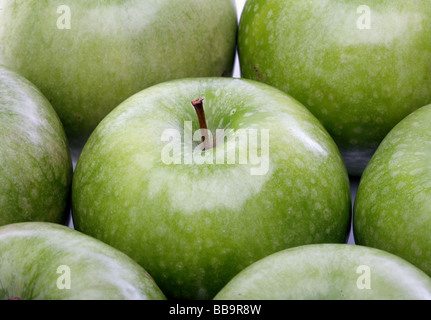 Pomme verte Banque D'Images