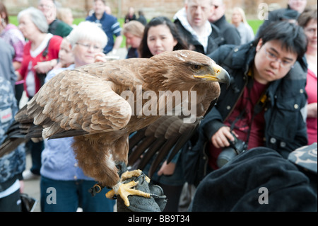 Le Palais de Linlithgow Homecoming Scotland cas Banque D'Images