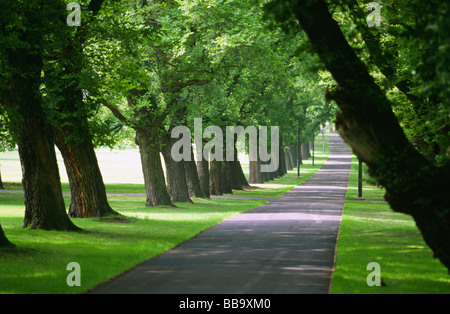 Parc Fawkner voie Melbourne Australie Victoria Banque D'Images