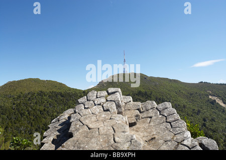 Les tuyaux d'orgue du basalte volcanique Mt colonnes Cargill Dunedin Otago ile sud Nouvelle Zelande Banque D'Images