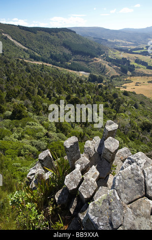 Les tuyaux d'orgue du basalte volcanique Mt colonnes Cargill Dunedin Otago ile sud Nouvelle Zelande Banque D'Images