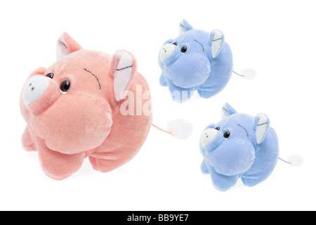 Porcs de peluche Banque D'Images