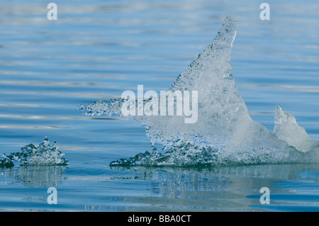 Packs de glace en forme de fantaisie détaché du glacier Lilliehook salon Spitsbergen Banque D'Images