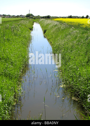 Un irregation digue dans le Lincolnshire fens. Banque D'Images