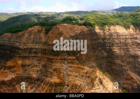 Waimea Canyon Rim Kauai HI Banque D'Images