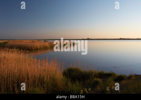 Rivière waveney,roseaux,soleil,burgh castle, lumière douce sur les roseaux, Banque D'Images