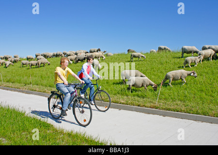 La piste cyclable de l'Elbe à Stiepelse en Basse-Saxe Banque D'Images