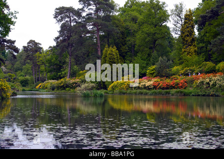 Rive est du moteur de l étang à Leonardslee Gardens West Sussex England avec divers arbustes Azalea couleurs reflète dans l'eau Banque D'Images