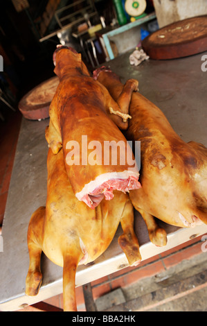 Ensemble de chiens pour la cuisson (Thit Cho) en face du restaurant, Hanoi, Vietnam. Banque D'Images