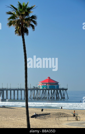 ThePier, un palmier et des surfeurs, Huntington Beach CA Banque D'Images