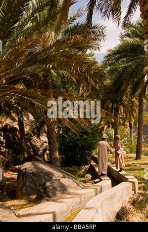 Ancien système d'irrigation aflaj d'eau dans le village de In Misfat Al Abriyyin à Jabal al Akhdar, Dhakiliya Oman région Banque D'Images