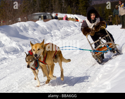 La conduite de l'enfant un chien de traîneau, de l'équipe des Huskies de l'Alaska, le cuivre courriers Twister Dog Sled Race, Territoire du Yukon, Canada Banque D'Images