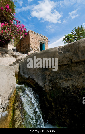 Ancien système d'irrigation aflaj d'eau dans le village de In Misfat Al Abriyyin à Jabal al Akhdar, Dhakiliya Oman région Banque D'Images