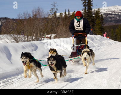 La conduite de l'enfant un chien de traîneau, de l'équipe des Huskies de l'Alaska, le cuivre courriers Twister Dog Sled Race, Territoire du Yukon, Canada Banque D'Images