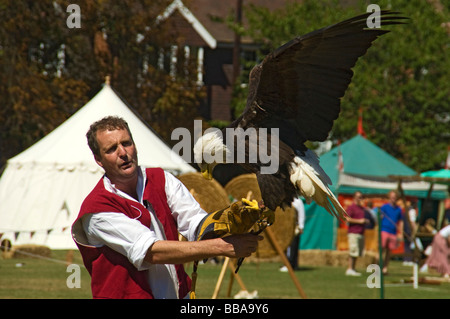 Festival des Chevaliers, Falconer, seigle, Kent, au sud de l'Angleterre, Grande-Bretagne, Europe Banque D'Images