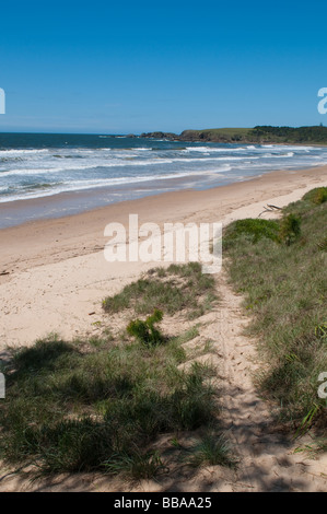 Emerald Beach Région de Coffs Harbour NSW Australie Banque D'Images