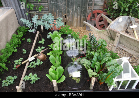 Lit de légumes et plantes montrant les outils nécessaires RHS Chelsea Flower Show Banque D'Images