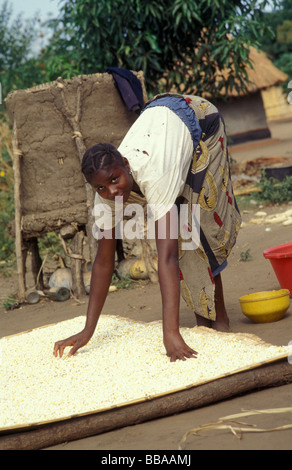 Scène de village Kunda sth luangwa Zambie zone de gestion du gibier Banque D'Images