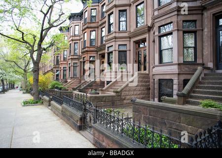 Brownstone townhouses, Brooklyn, New York City Banque D'Images