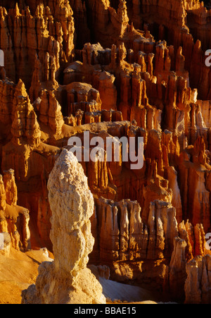 Des formations rocheuses, Bryce Canyon, Utah, USA Banque D'Images