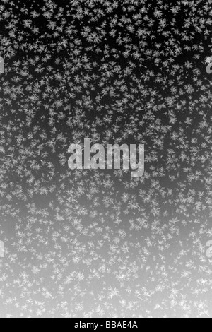 Cristaux de glace sur une fenêtre Banque D'Images