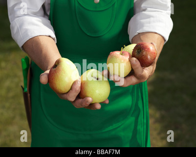 Portrait d'un homme avec une poignée de pommes Banque D'Images